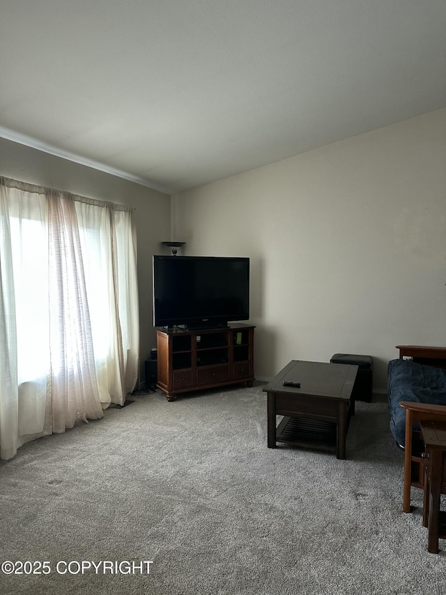 17491 Fire Eagle Way # 6, Eagle River, AK 99577 - living area with carpet