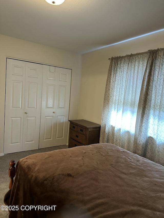 17491 Fire Eagle Way # 6, Eagle River, AK 99577 - bedroom with a closet