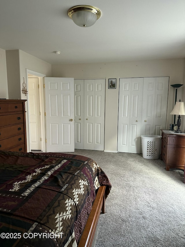 17491 Fire Eagle Way # 6, Eagle River, AK 99577 - bedroom with two closets and carpet floors