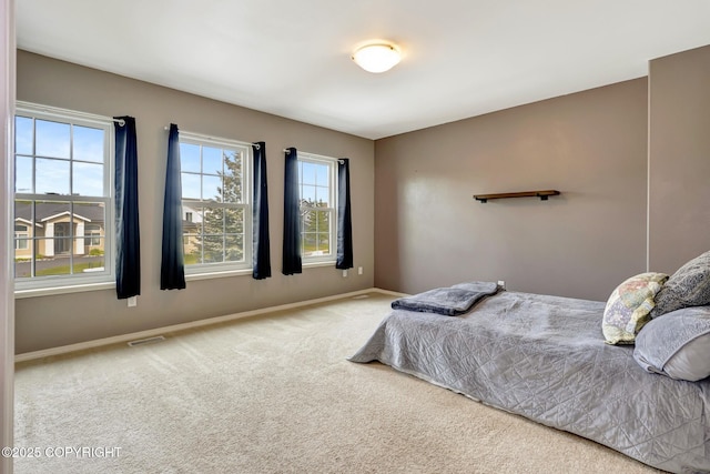 5893 Kenai Fjords Loop, Anchorage, AK 99502 - bedroom with baseboards and carpet