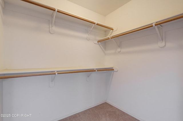 5893 Kenai Fjords Loop, Anchorage, AK 99502 - spacious closet featuring light carpet