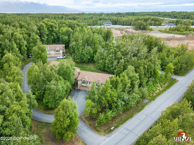 4106 E Country Fair Dr # A, Wasilla, AK 99654 - view of subject property with a forest