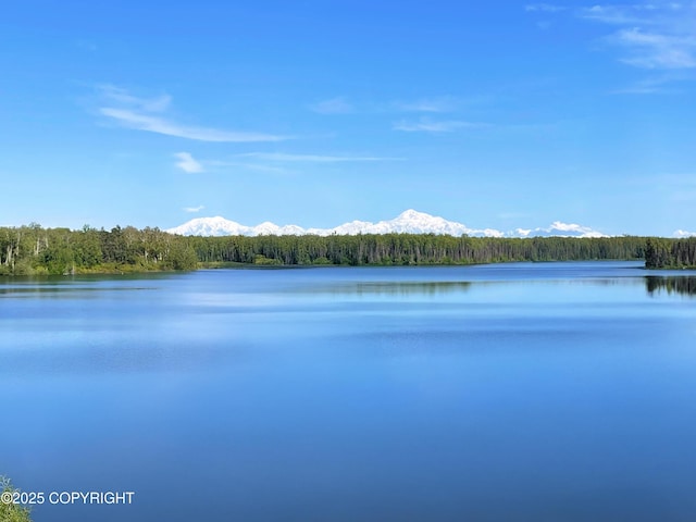 46545 S Fishermans Hop Rd, Willow, AK 99688