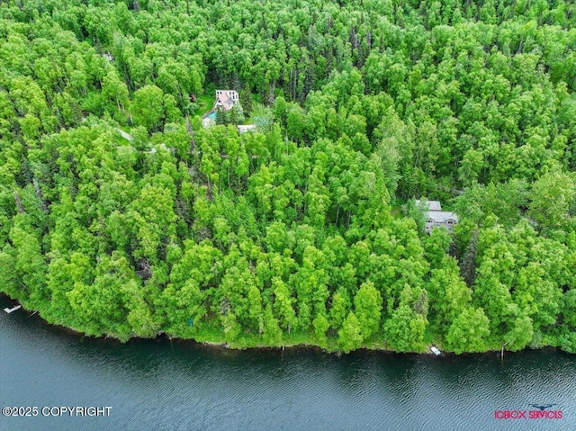 18833 Upper Fish Hatchery Dr, Eagle River, AK 99577 - photo 4