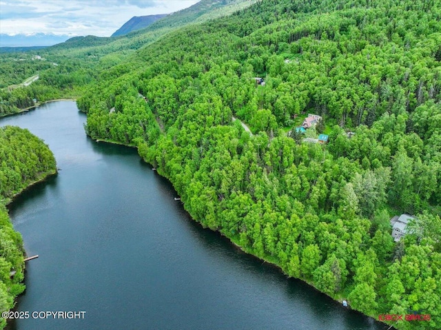 18833 Upper Fish Hatchery Dr, Eagle River, AK 99577 - photo 6