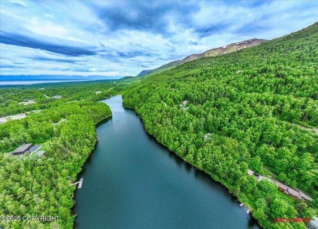 18833 Upper Fish Hatchery Dr, Eagle River, AK 99577 - photo 7