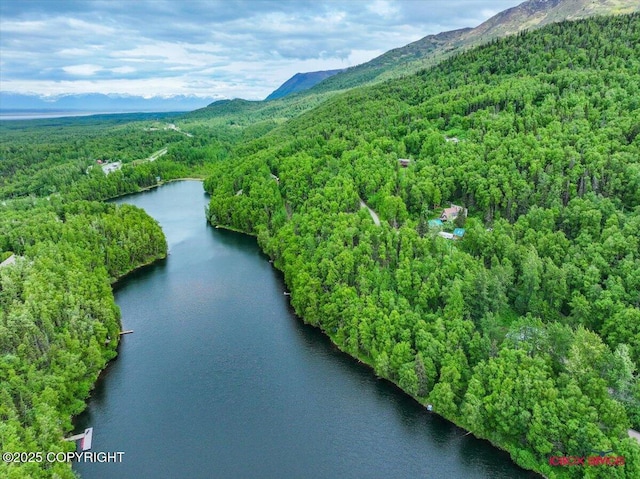 18833 Upper Fish Hatchery Dr, Eagle River, AK 99577 - photo 8