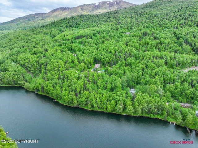 18833 Upper Fish Hatchery Dr, Eagle River, AK 99577 - photo 9