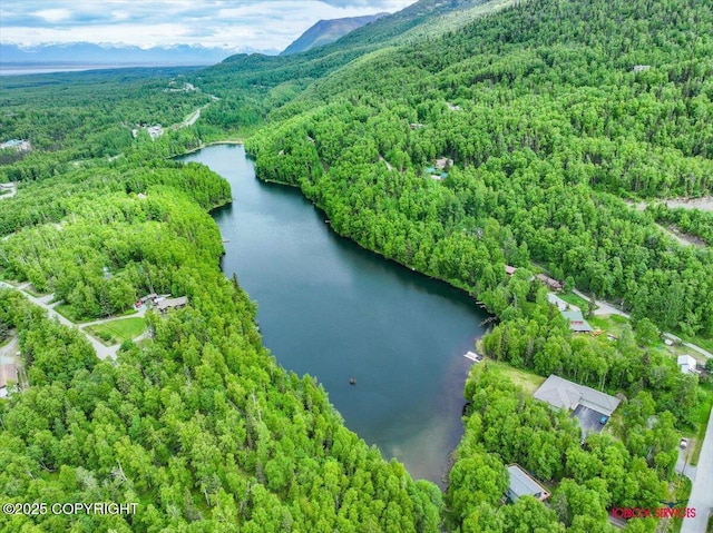 18833 Upper Fish Hatchery Dr, Eagle River, AK 99577 - photo 18