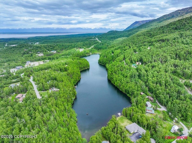 18833 Upper Fish Hatchery Dr, Eagle River, AK 99577 - photo 19