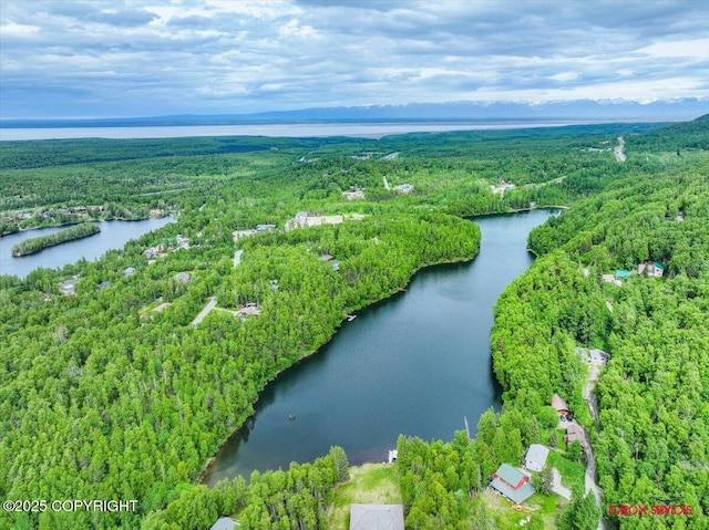 18833 Upper Fish Hatchery Dr, Eagle River, AK 99577 - photo 20