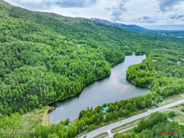 18833 Upper Fish Hatchery Dr, Eagle River, AK 99577 - photo 21