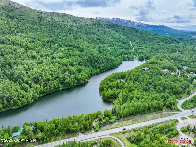 18833 Upper Fish Hatchery Dr, Eagle River, AK 99577 - photo 23