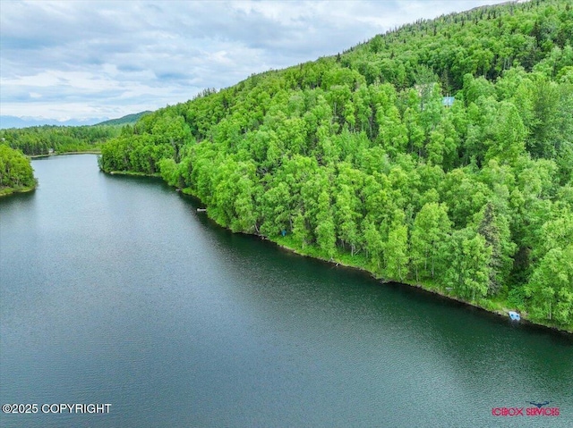 18833 Upper Fish Hatchery Dr, Eagle River, AK 99577 - photo 26
