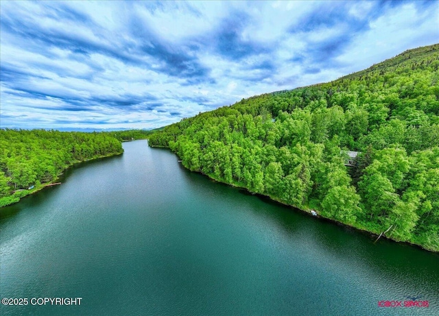 18833 Upper Fish Hatchery Dr, Eagle River, AK 99577 - photo 27