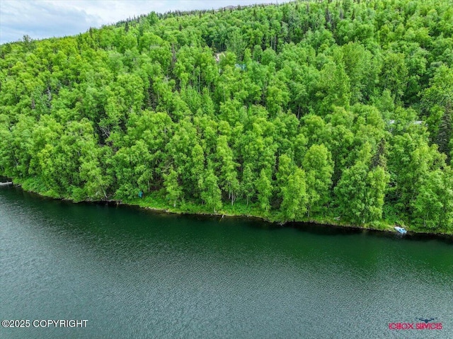 18833 Upper Fish Hatchery Dr, Eagle River, AK 99577 - photo 28