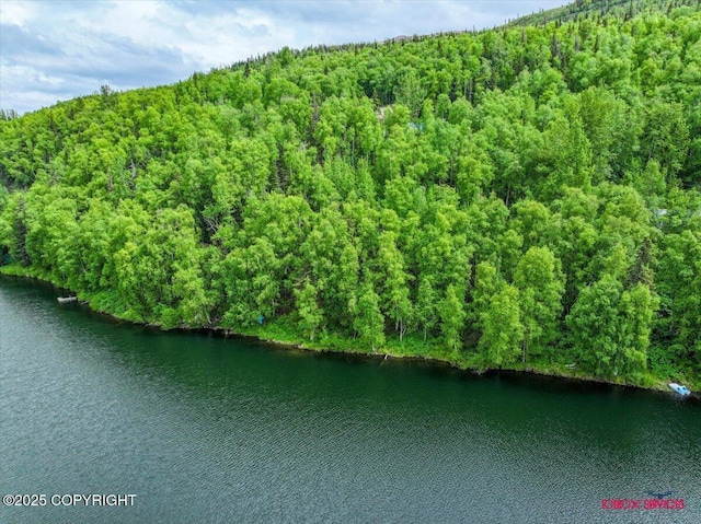 18833 Upper Fish Hatchery Dr, Eagle River, AK 99577 - photo 29