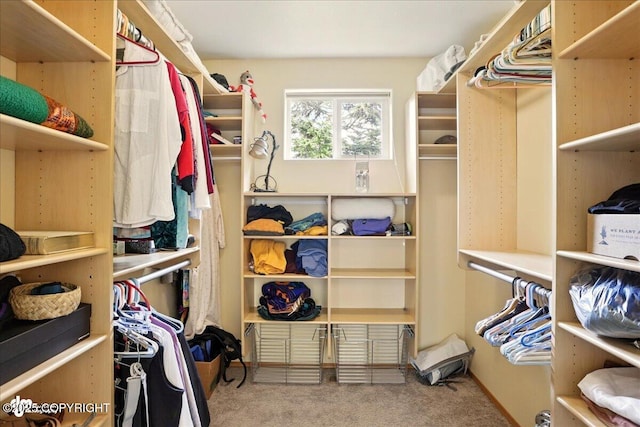 142 Vail Cir, Girdwood, AK 99587 - spacious closet featuring carpet
