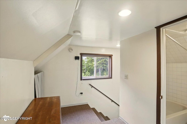 142 Vail Cir, Girdwood, AK 99587 - bonus room with lofted ceiling and carpet
