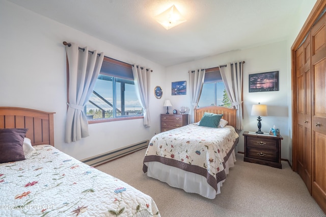 292 Mountain View Dr, Homer, AK 99603 - bedroom featuring a baseboard radiator, light carpet, and a closet