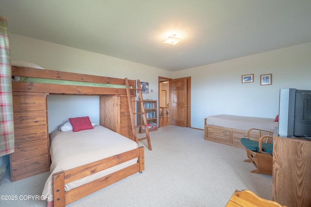 292 Mountain View Dr, Homer, AK 99603 - view of carpeted bedroom