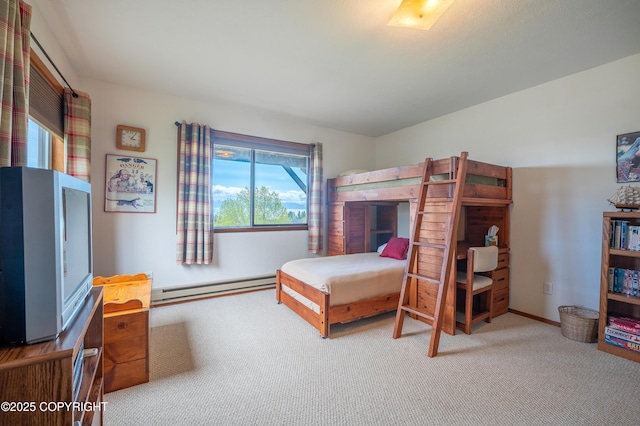 292 Mountain View Dr, Homer, AK 99603 - bedroom with baseboard heating and carpet flooring