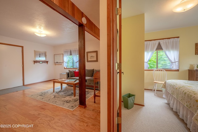292 Mountain View Dr, Homer, AK 99603 - corridor featuring healthy amount of natural light and light wood-style floors