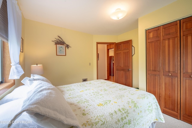 292 Mountain View Dr, Homer, AK 99603 - bedroom with a closet and carpet