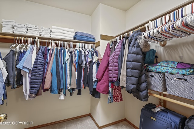 11751 Mary Ave, Anchorage, AK 99515 - walk in closet with carpet