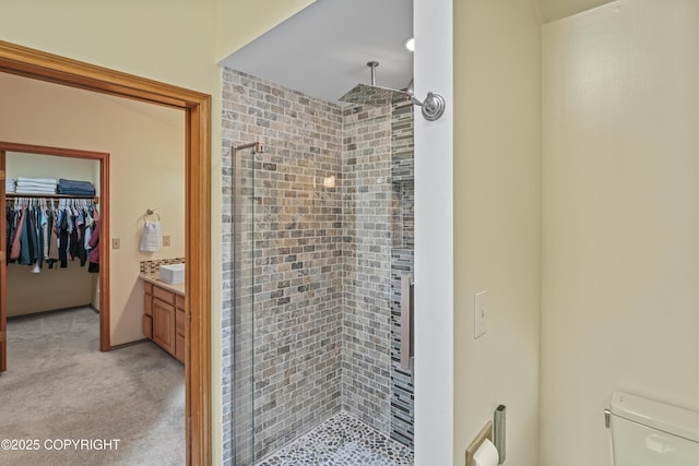 11751 Mary Ave, Anchorage, AK 99515 - full bath with a stall shower, vanity, and a spacious closet