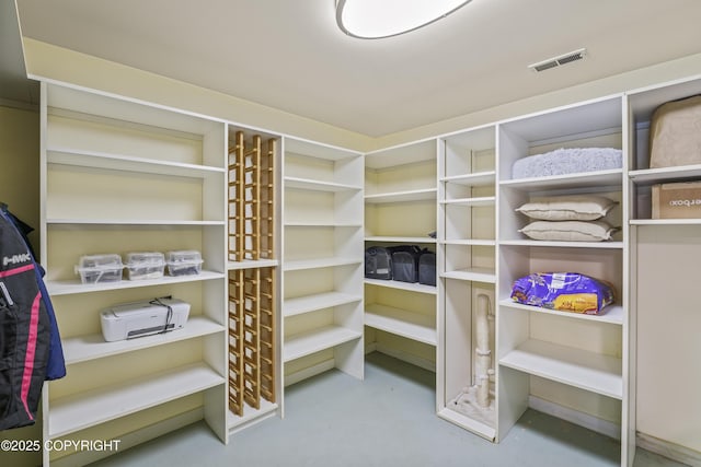 11751 Mary Ave, Anchorage, AK 99515 - view of walk in closet