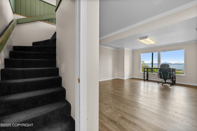 1855 Mission Rd, Homer, AK 99603 - stairs with ornamental molding and wood finished floors