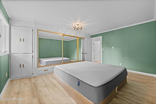1855 Mission Rd, Homer, AK 99603 - bedroom featuring ornamental molding, light wood finished floors, and a closet