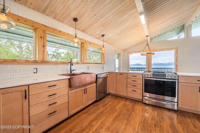 1855 Mission Rd, Homer, AK 99603 - kitchen featuring appliances with stainless steel finishes, light brown cabinetry, light wood-type flooring, plenty of natural light, and vaulted ceiling