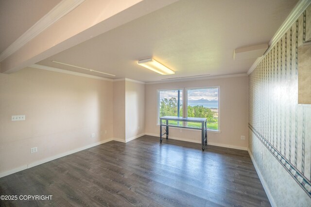 1855 Mission Rd, Homer, AK 99603 - spare room featuring dark wood-style flooring and ornamental molding
