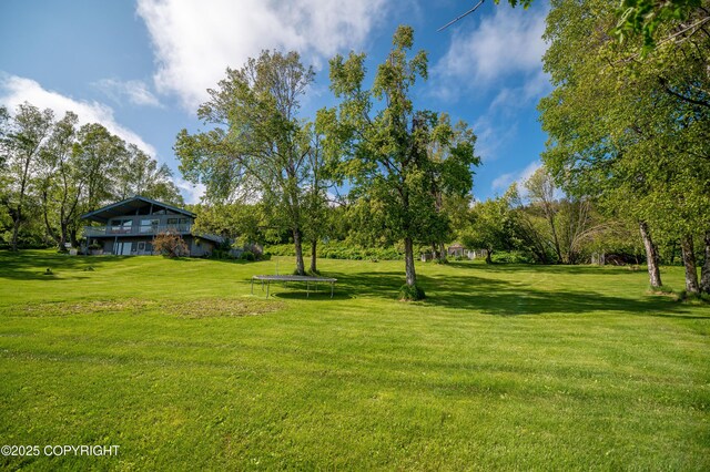 1855 Mission Rd, Homer, AK 99603 - view of green lawn featuring a trampoline