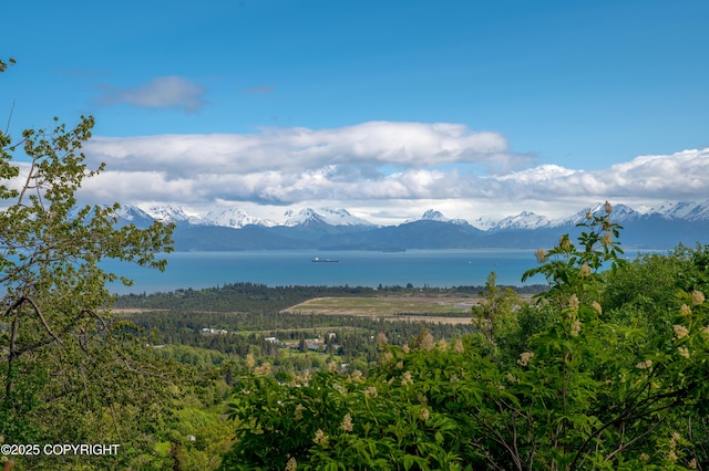 1855 Mission Rd, Homer, AK 99603 - view of mountain background with a large body of water