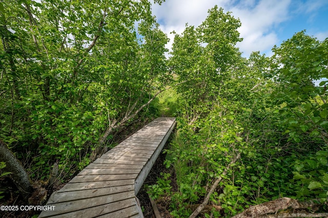 1855 Mission Rd, Homer, AK 99603 - view of community