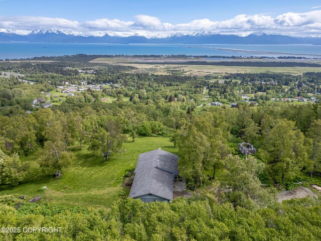 1855 Mission Rd, Homer, AK 99603 - aerial view of property's location with a water and mountain view and a heavily wooded area