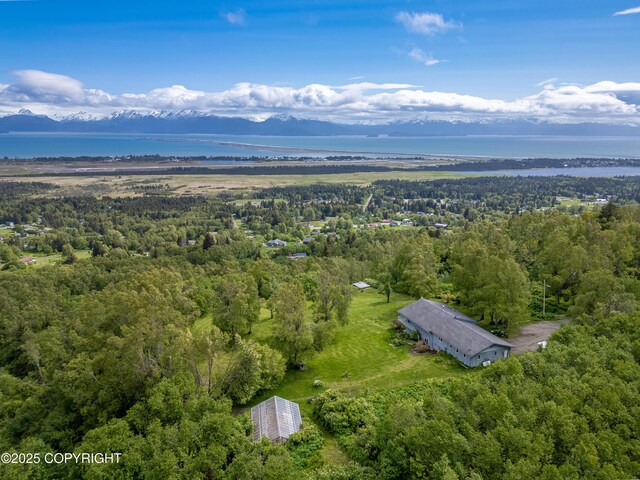 1855 Mission Rd, Homer, AK 99603 - aerial view of a heavily wooded area and a water and mountain view