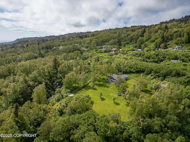 1855 Mission Rd, Homer, AK 99603 - bird's eye view of a heavily wooded area