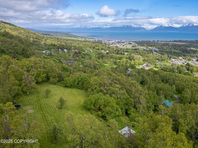 1855 Mission Rd, Homer, AK 99603 - aerial view of property's location featuring a heavily wooded area and a water and mountain view