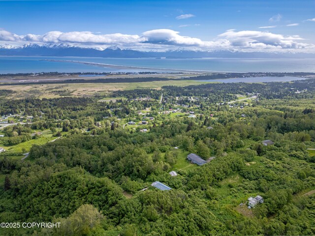 1855 Mission Rd, Homer, AK 99603 - drone / aerial view of a large body of water and a heavily wooded area