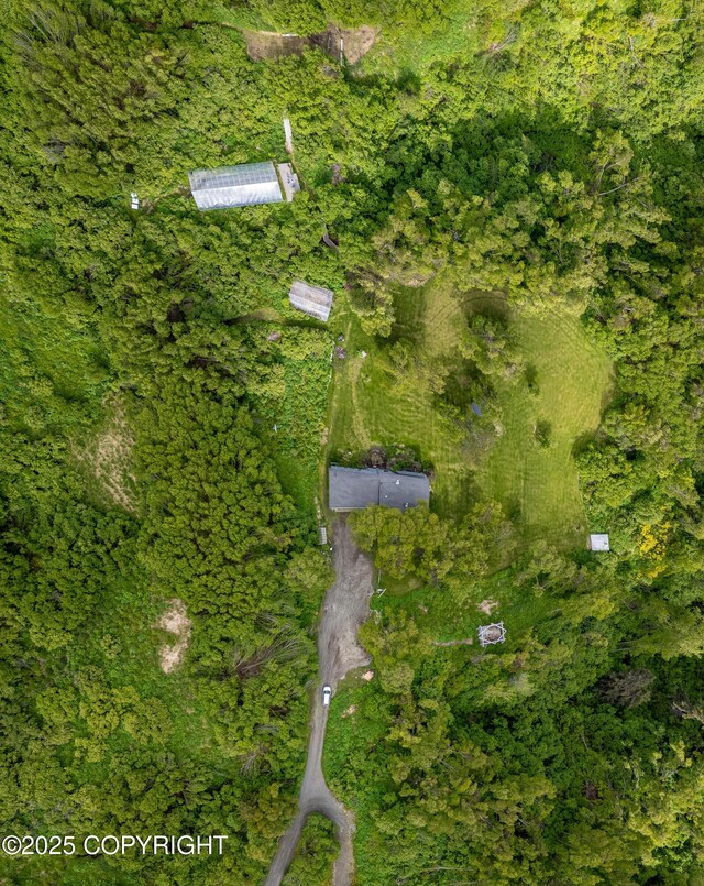 1855 Mission Rd, Homer, AK 99603 - aerial view of property and surrounding area