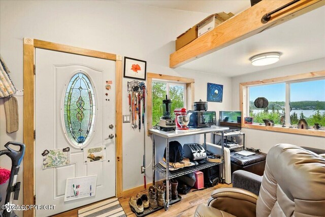 9637 N Buckingham Palace Rd, Willow, AK 99688 - entryway featuring wood finished floors