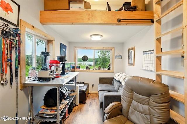 9637 N Buckingham Palace Rd, Willow, AK 99688 - office featuring wood finished floors and baseboards