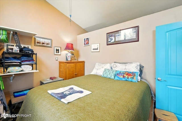 9637 N Buckingham Palace Rd, Willow, AK 99688 - bedroom with lofted ceiling