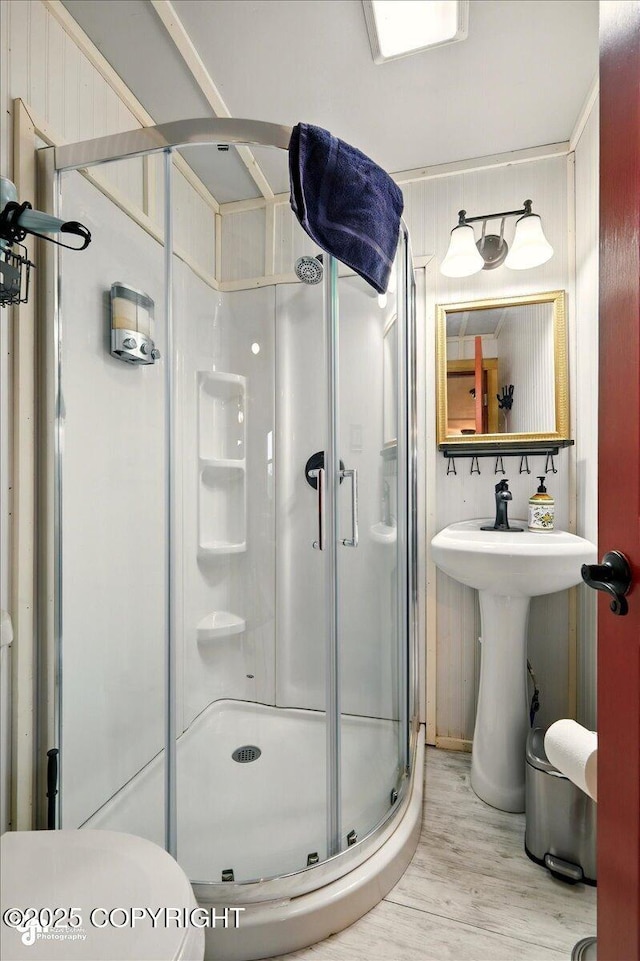 9637 N Buckingham Palace Rd, Willow, AK 99688 - full bath featuring a stall shower, wood finished floors, and toilet
