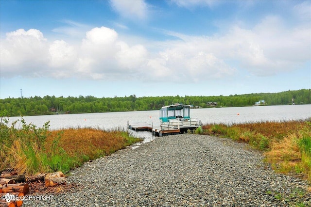 9637 N Buckingham Palace Rd, Willow, AK 99688 - dock featuring a view of trees and a water view