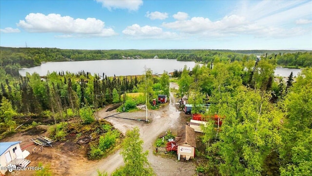 9637 N Buckingham Palace Rd, Willow, AK 99688 - aerial view of a large body of water and a forest